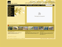 Tablet Screenshot of jgpconsultoria.com.br